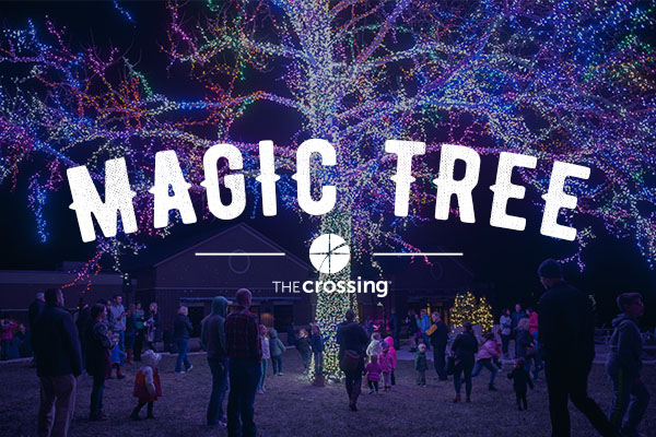 Magic Tree Nights in December